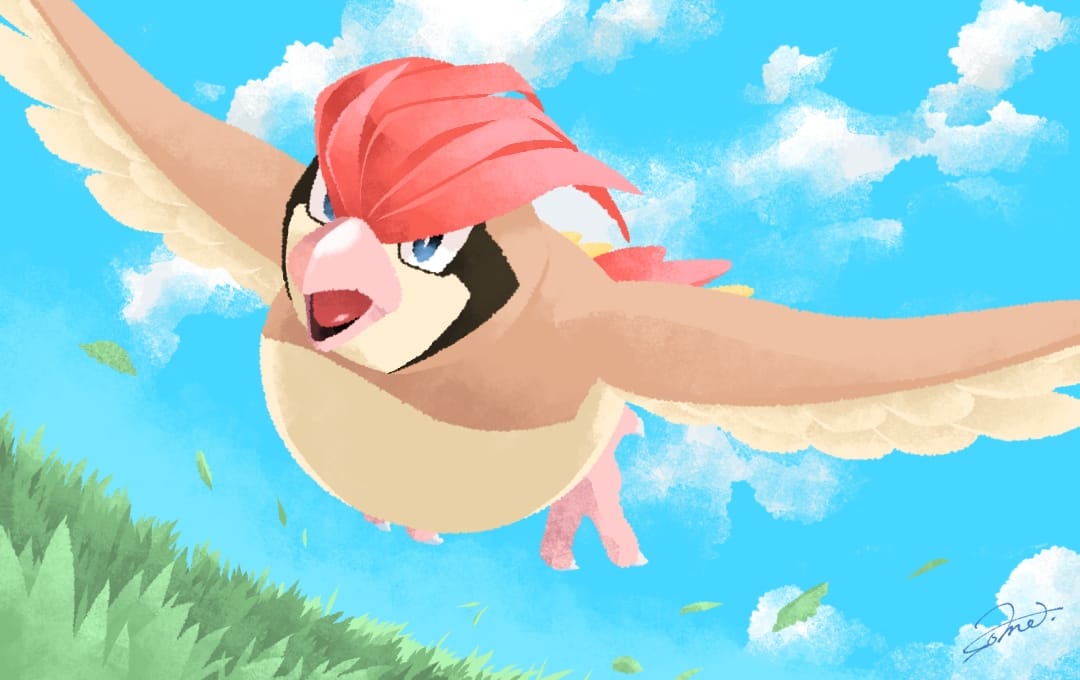 ピジョン 染 Illustrations Art Street