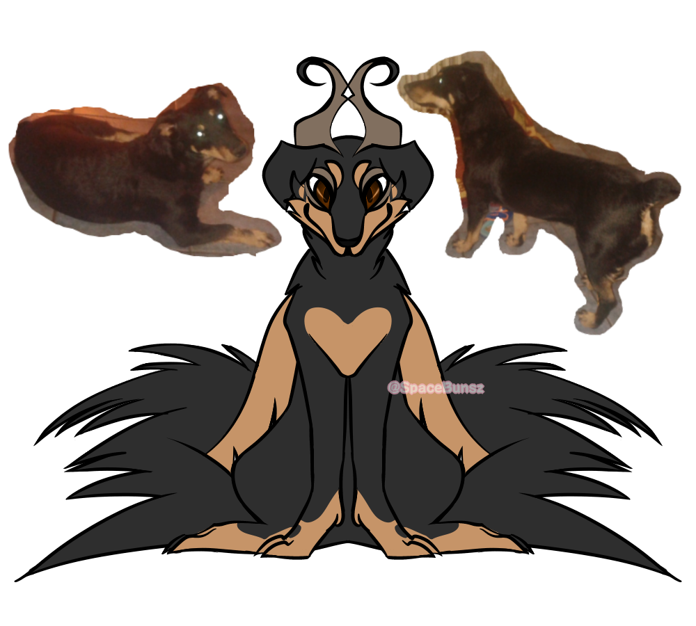 Zelda My Dog As A Dragon Spacebunsz イラスト Art Street アートストリート