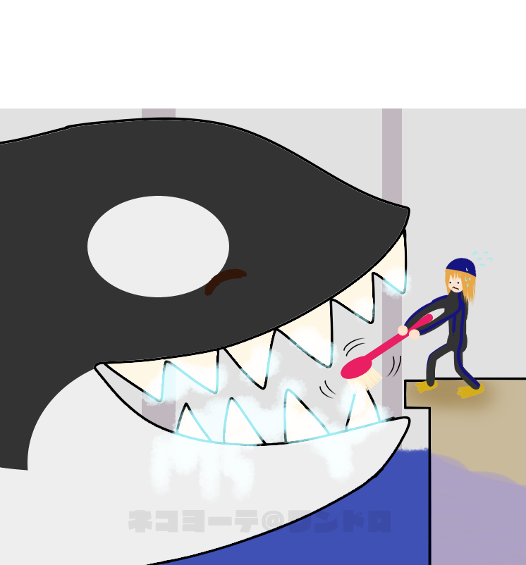 シャチの歯磨きショー ネッコヨーテ 元イカちまき Illustrations Art Street