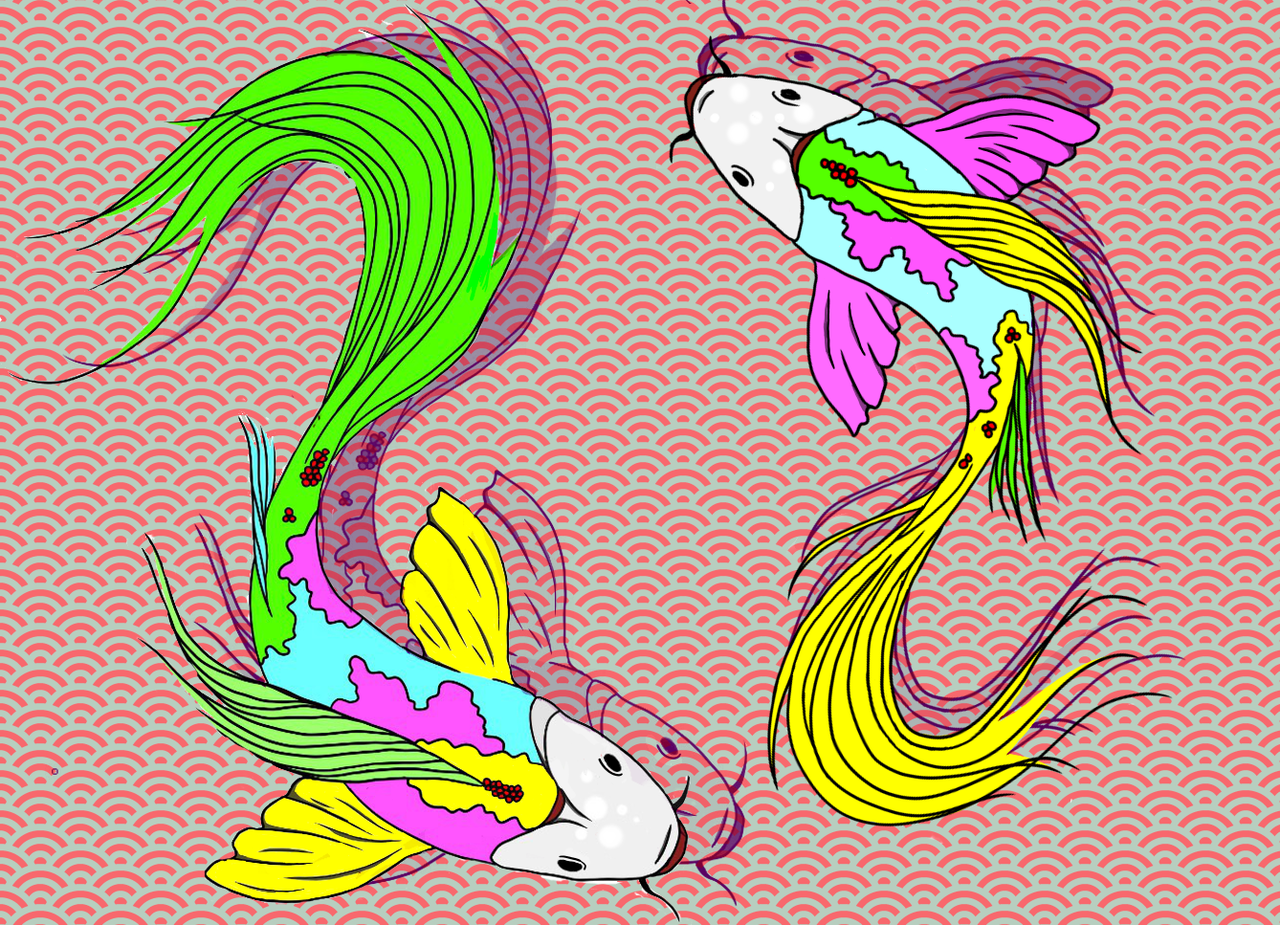 Carp Ichi イラスト Art Street アートストリート