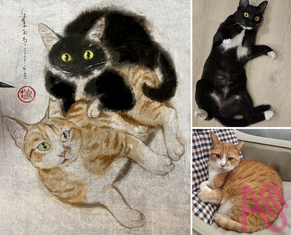 CATS Illust of Yu-Tung Yeh animal cat Swordsman 肥満 貓劍客