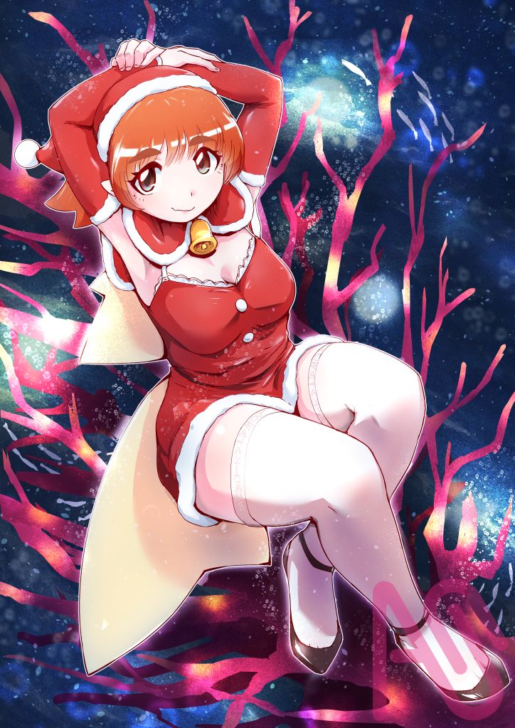 🌊🦈🎄サメ―クリスマス2025🎄🦈🌊✨ Illust of ヨワタリJAWS oc Christmas メリークリスマス サメ ネコザメ クリスマスイラスト