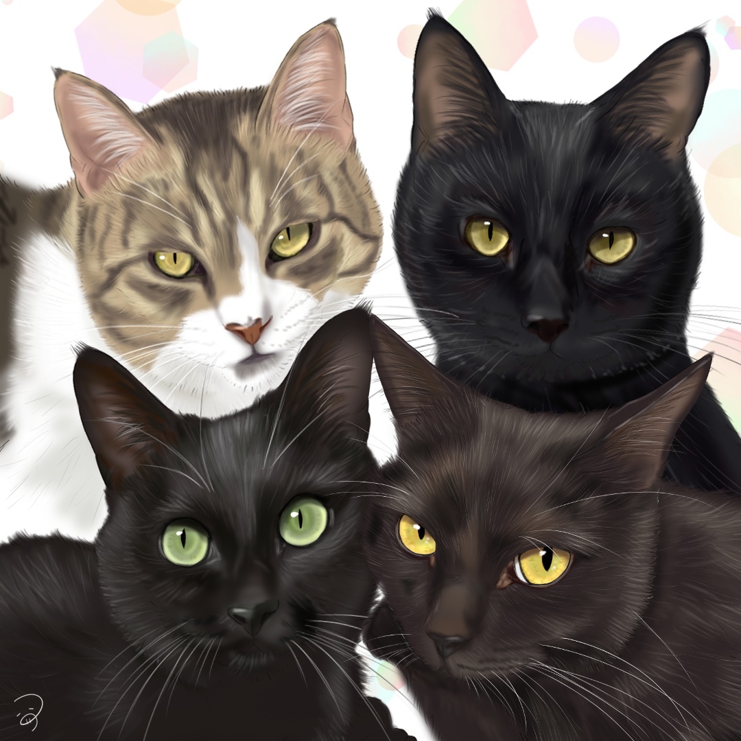 きじしろねえさんとくろねこさんたち。 つぅ - Illustrations ART street