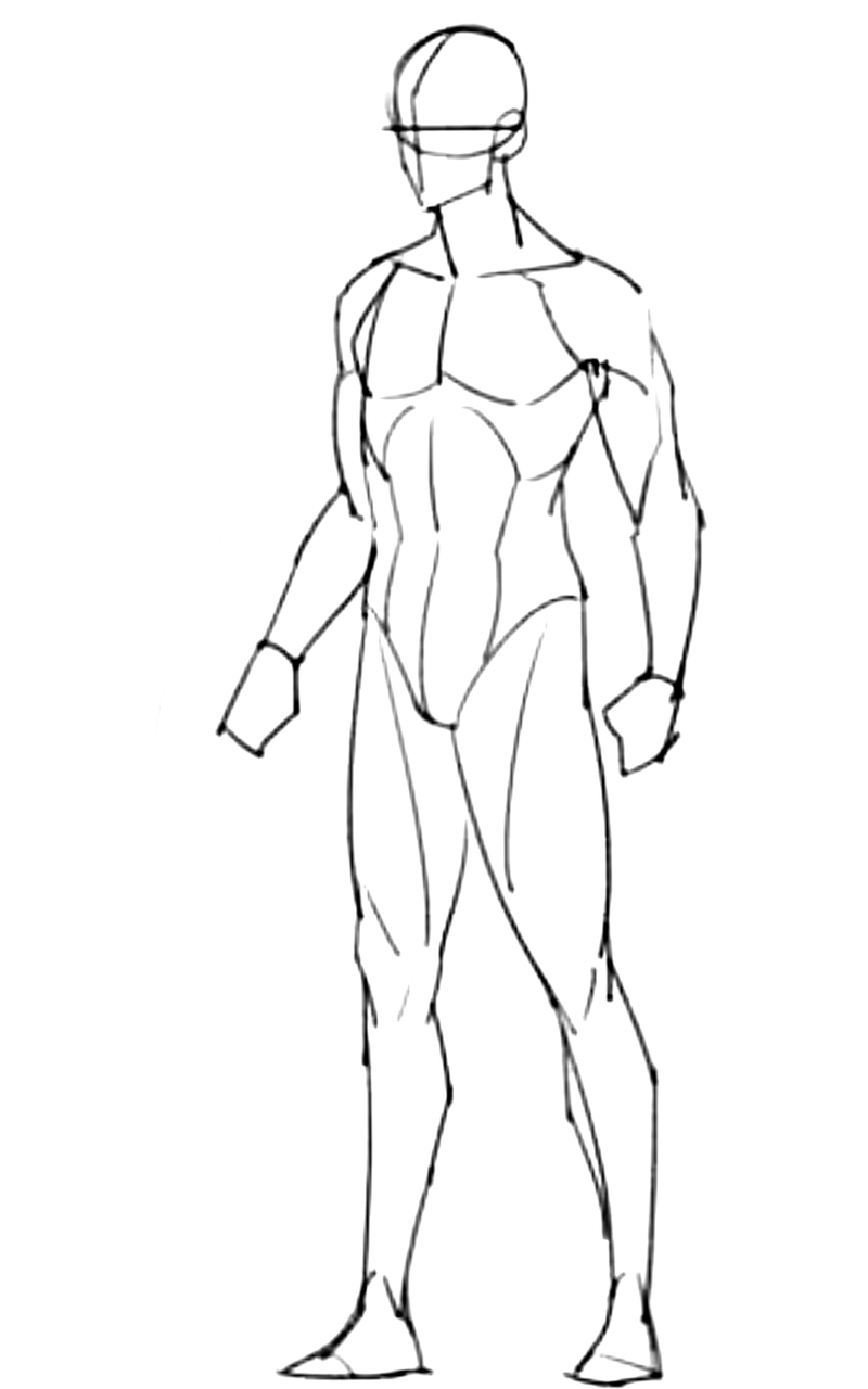 Male Body Drawing Base Male Body Drawing Base