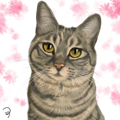 きじとらさん つぅ イラスト Art Street アートストリート