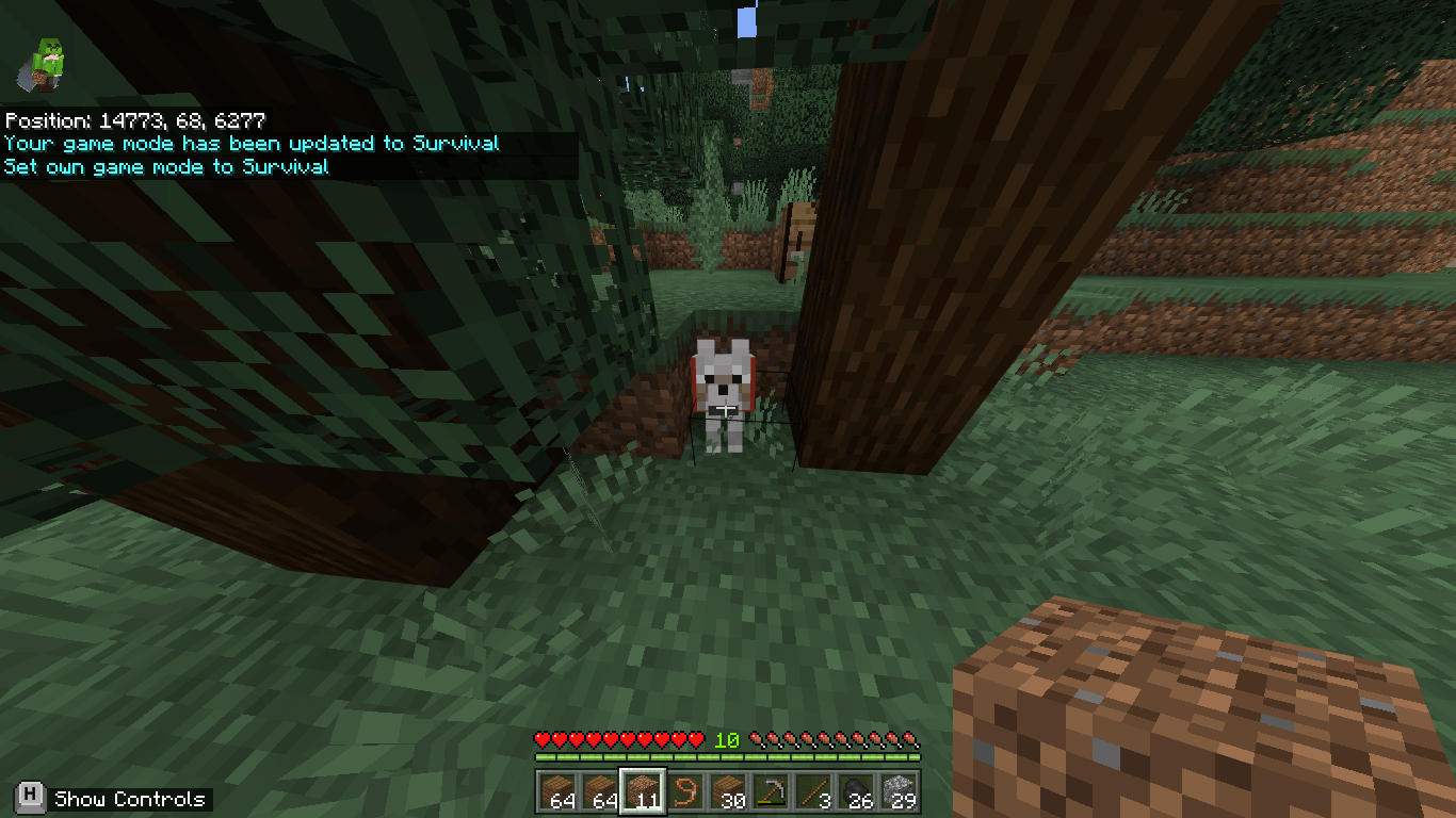 I Fdound Glitch Dog Moved Accounts的个人话题 Art Street