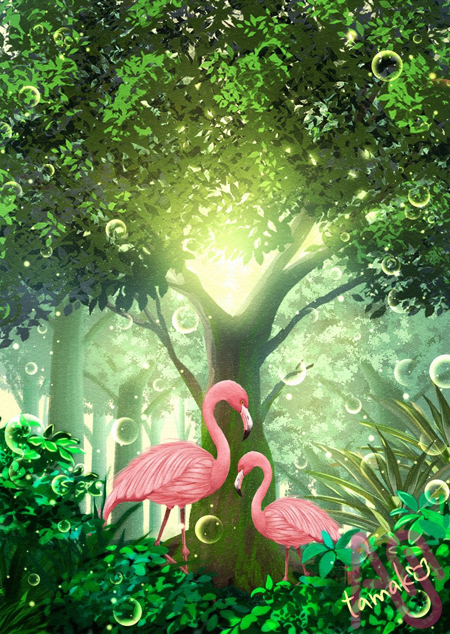 フラミンゴ Illust of たまこ forest リース water ドライフルーツ フラミンゴ ドライフラワー ウォーターメロン