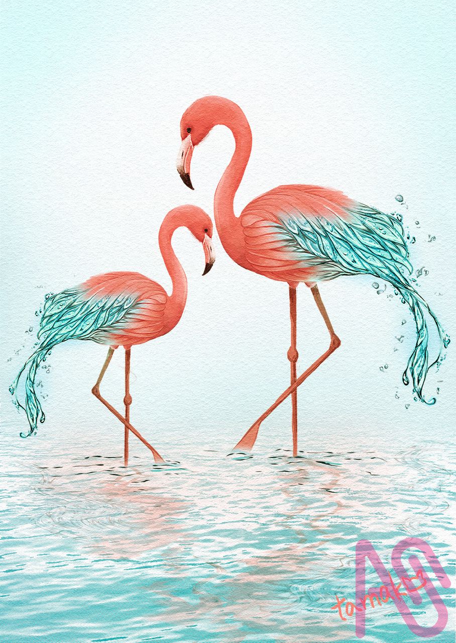 フラミンゴ Illust of たまこ forest リース water ドライフルーツ フラミンゴ ドライフラワー ウォーターメロン