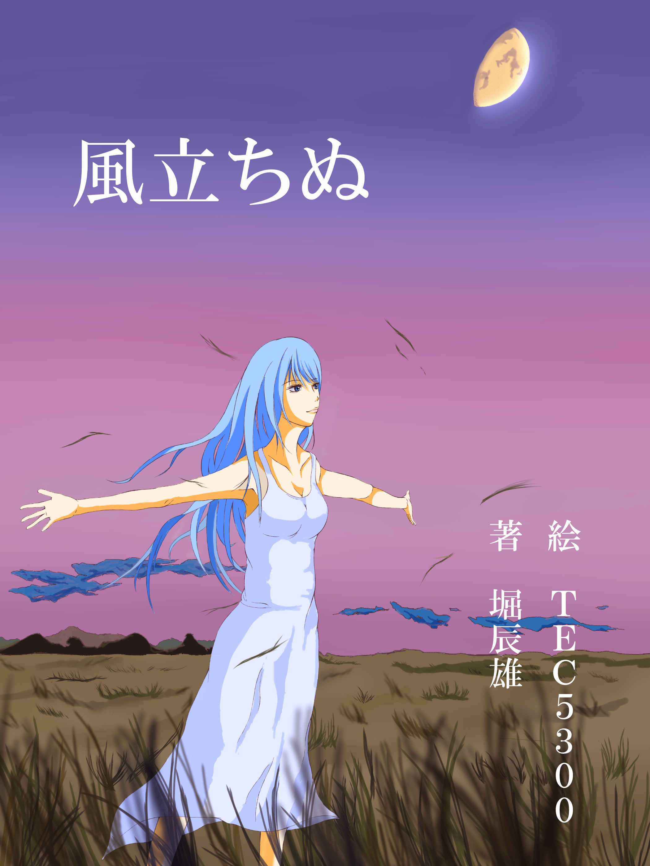 風立ちぬ Tec5300 Illustrations Art Street